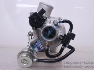53039880317 BorgWarner turbocharger 53039700317