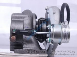 E049339000054 FUTIAN turbocharger 738769-5004S