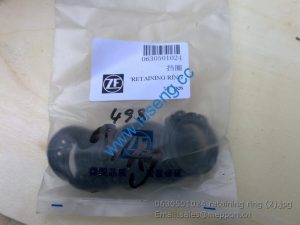 0630501024 rataining ring 4110000076209 SP100035 4110001905014