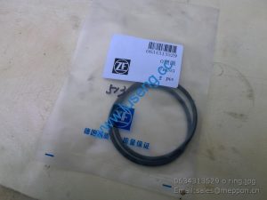 0634313529 o ring 4110000076046 7200001516 SP100080 W030601150 W43012070