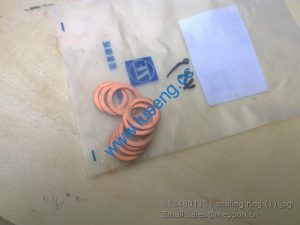 0634801151 sealing ring 7200001690 SP100084 W030602710