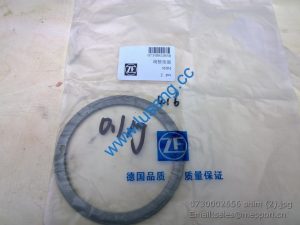 0730002656 shim 4110000042088 SP100140 W030600980