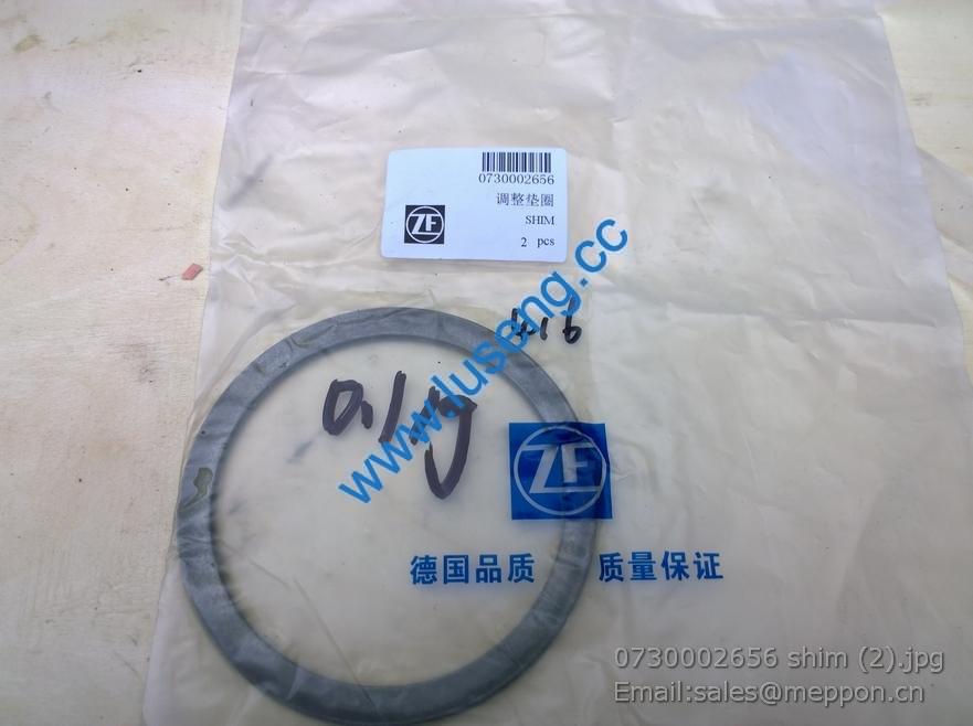 0730002656 shim 4110000042088 SP100140 W030600980