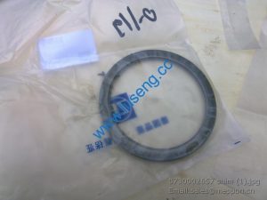 0730002657 shim 4110000042086 SP100141 W030600970