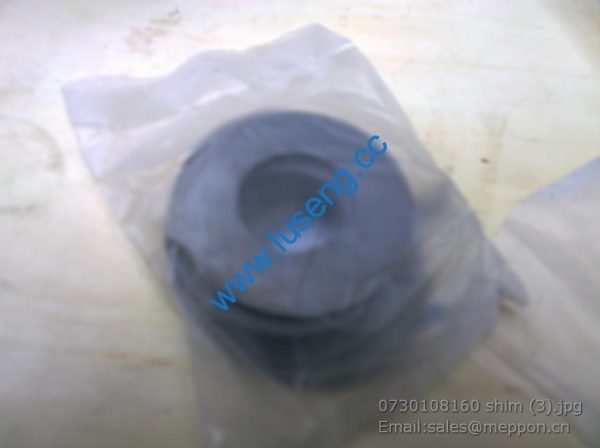 0730108160 shim 4110000042059 SP100167 W030601560