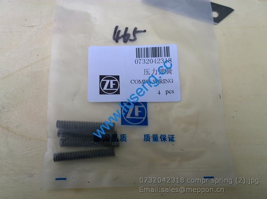 0732042318 compr spring 7200001730 SP100212