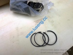 0734317252 piston ring 4110000076256 SP100220