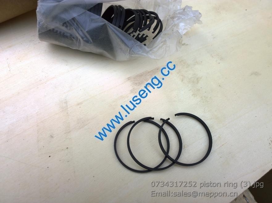 0734317252 piston ring 4110000076256 SP100220