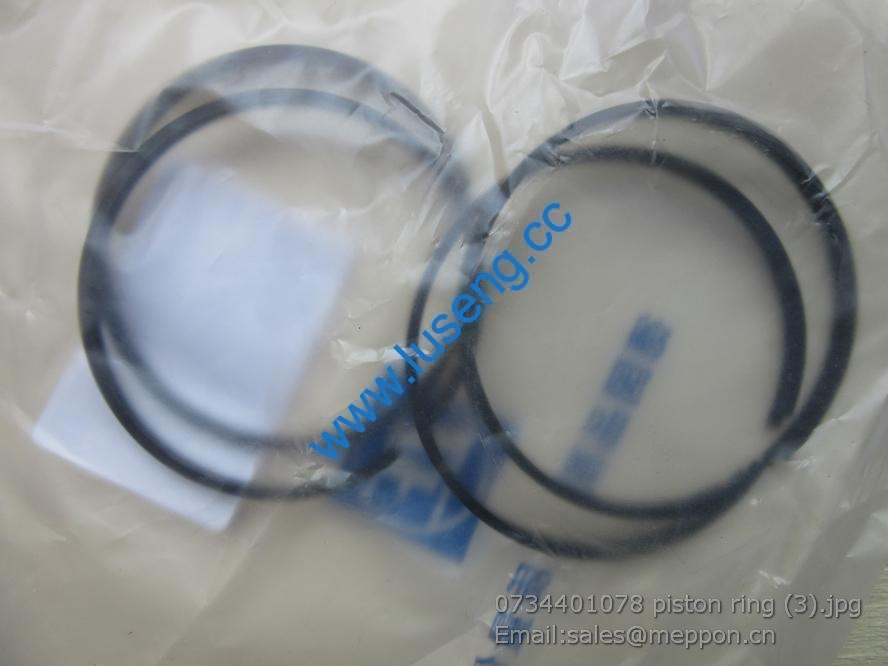 0734401078 piston ring 4110000076027 SP100223 W030611014 W43002500