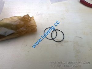 0734401106 piston ring 4110000076258 4110000076050 7200001534 SP100224