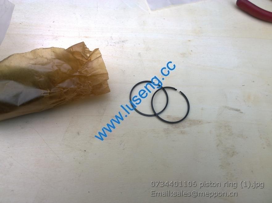 0734401106 piston ring 4110000076258 4110000076050 7200001534 SP100224