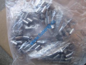 0750119100 ROLLER SET 4110000367102 7200001544 W43012550 W030601660