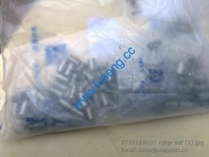 0750119101 roller set 7200001520 SP100273 W030601190