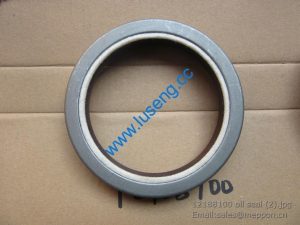 12188100 oil seal 4110000054100 W010250330 SP105398