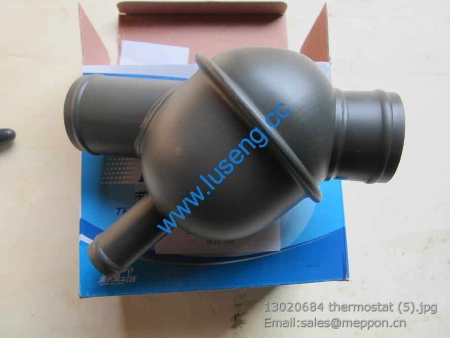 13020684 thermostat W010251900 SP106092 4110000054094