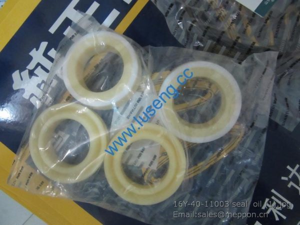 16Y-40-11003 SHANTUI seal oil