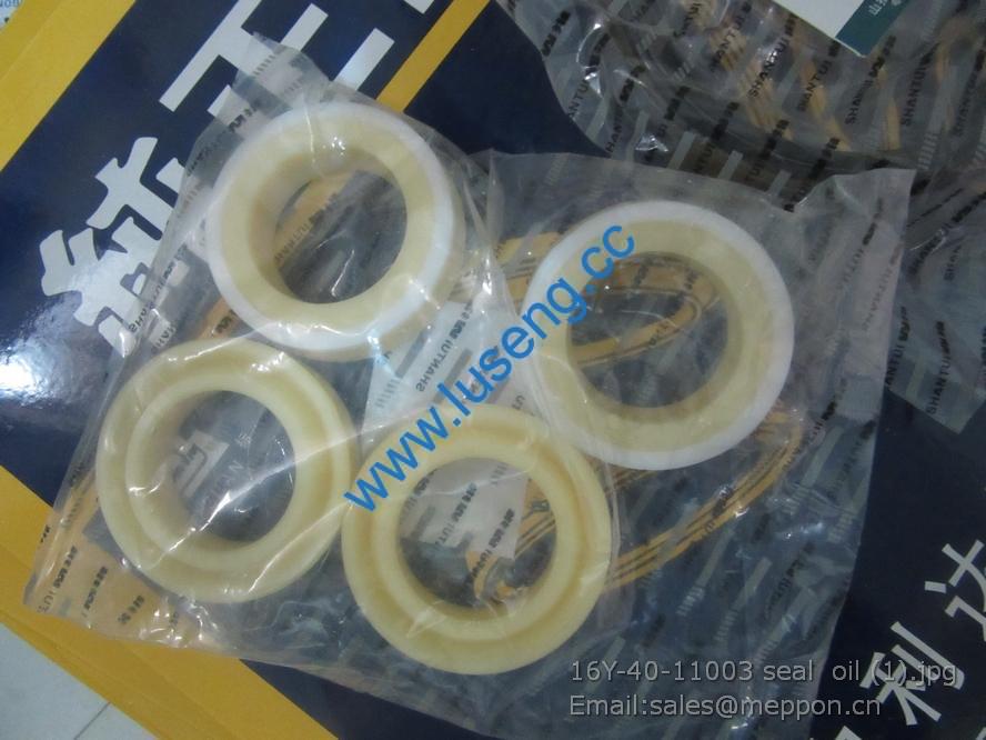 16Y-40-11003 SHANTUI seal oil