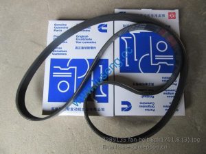 3289135 fan belt 8pk1701.8 cummins