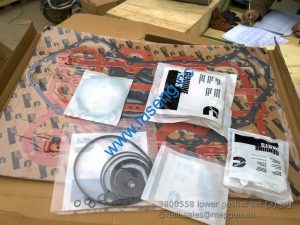 3800558 LOWER ENGINE GASKET cummins