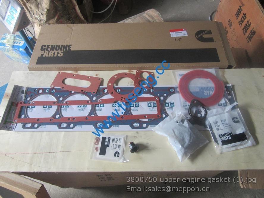 3800750 upper engine gasket cummins