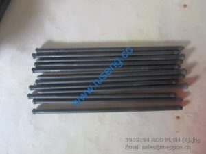 3905194 ROD PUSH 4110000081287 SP105637