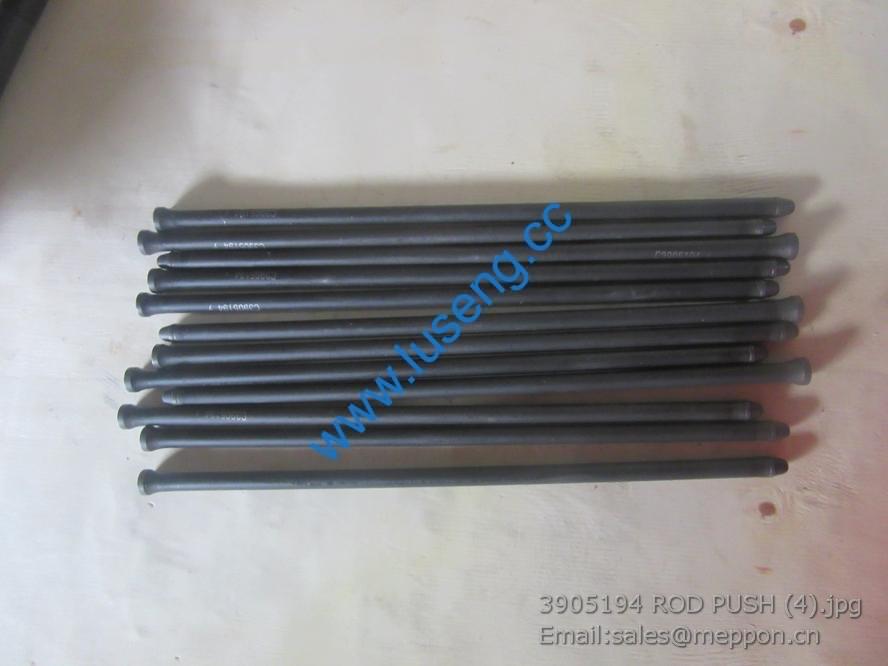 3905194 ROD PUSH 4110000081287 SP105637