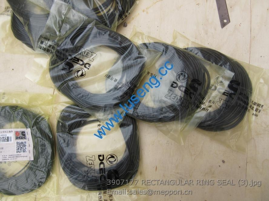 3907177 RECTANGULAR RING SEAL