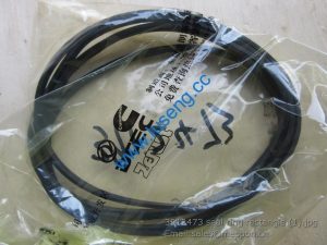 3912473 seal ring rectangle 4110000179110 4110000081127 SP105149