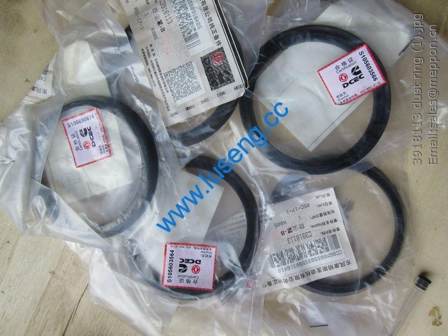 3918113 dust ring 4110000081075 SP106332