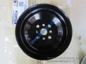 3919624 DRIVE PULLEY 4110000081022 SP108908 W010210850