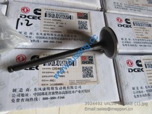 3924492 VALVE INTAKE 4110000081118 SP100754 SP108722