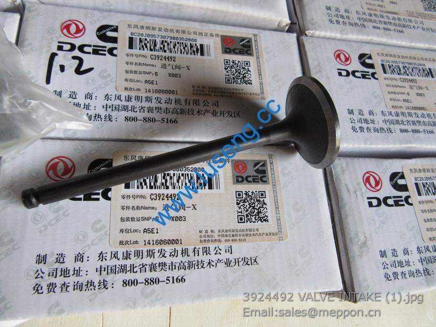 3924492 VALVE INTAKE 4110000081118 SP100754 SP108722