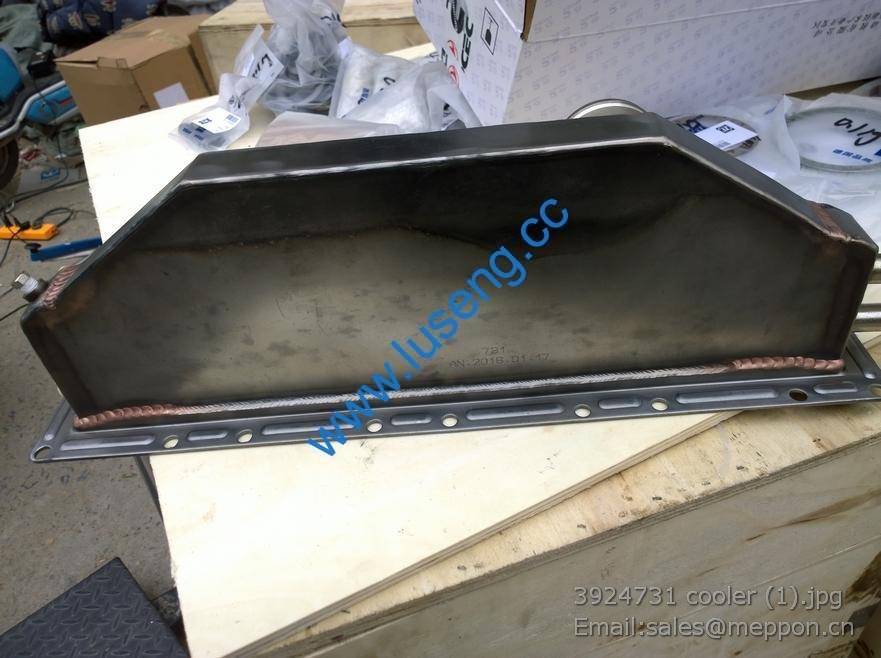 3924731 cooler 4110000081019 SP100717 SP108929