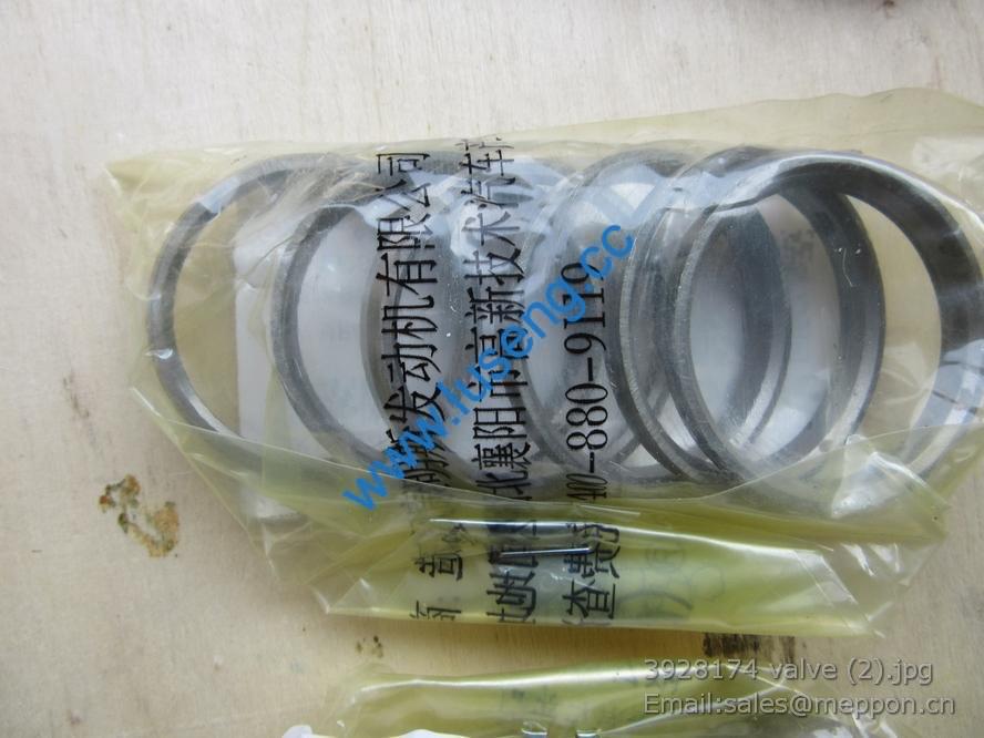 3928174 valve SP105630 4110000081240