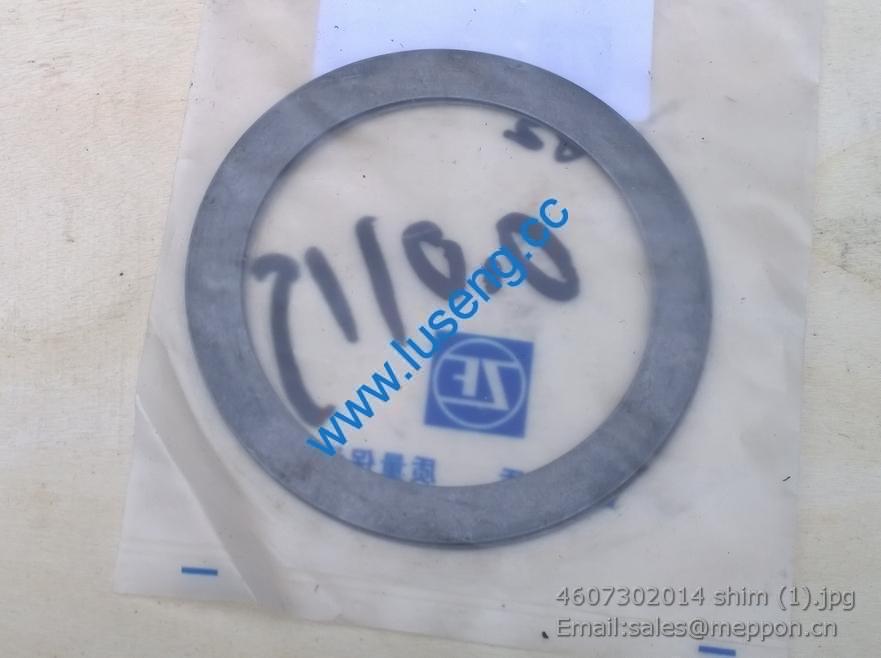 4607302014 shim 4110000042067 SP100391 W030600450