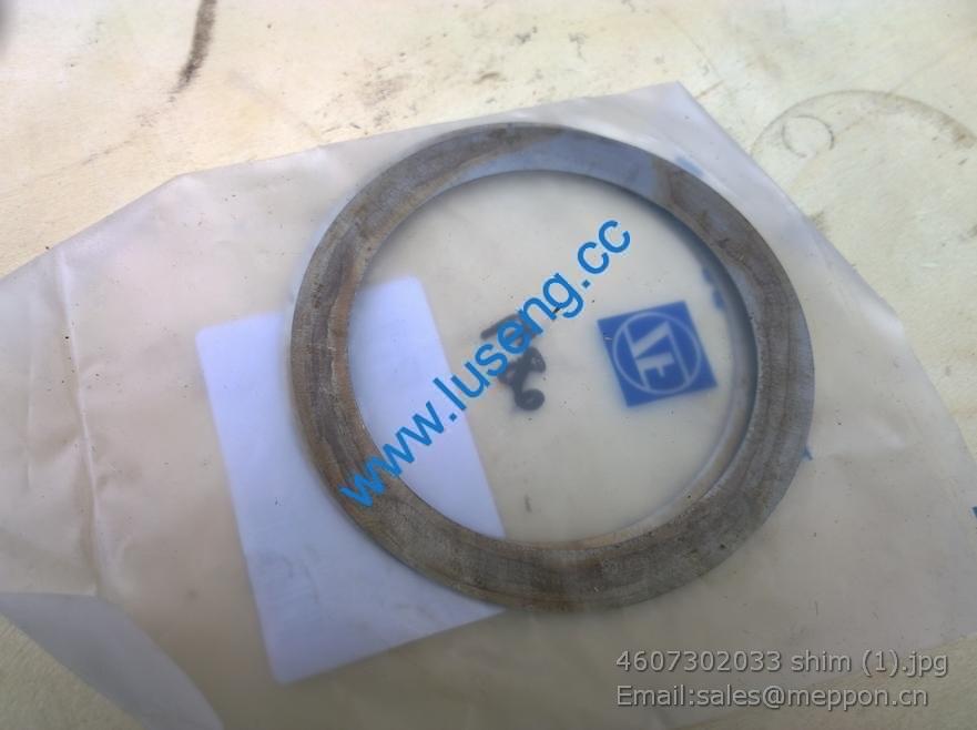 4607302033 shim 4110000076398 SP100392 W030600430