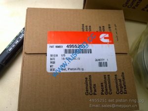 4955251 set piston ring cummins