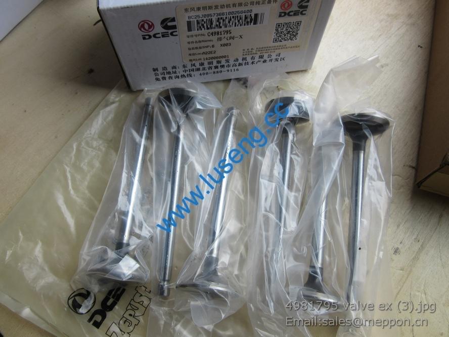 4981795 valve ex 3969637 cummins parts