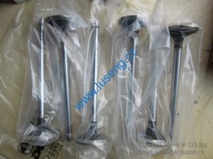 5307875 valve in 3970727