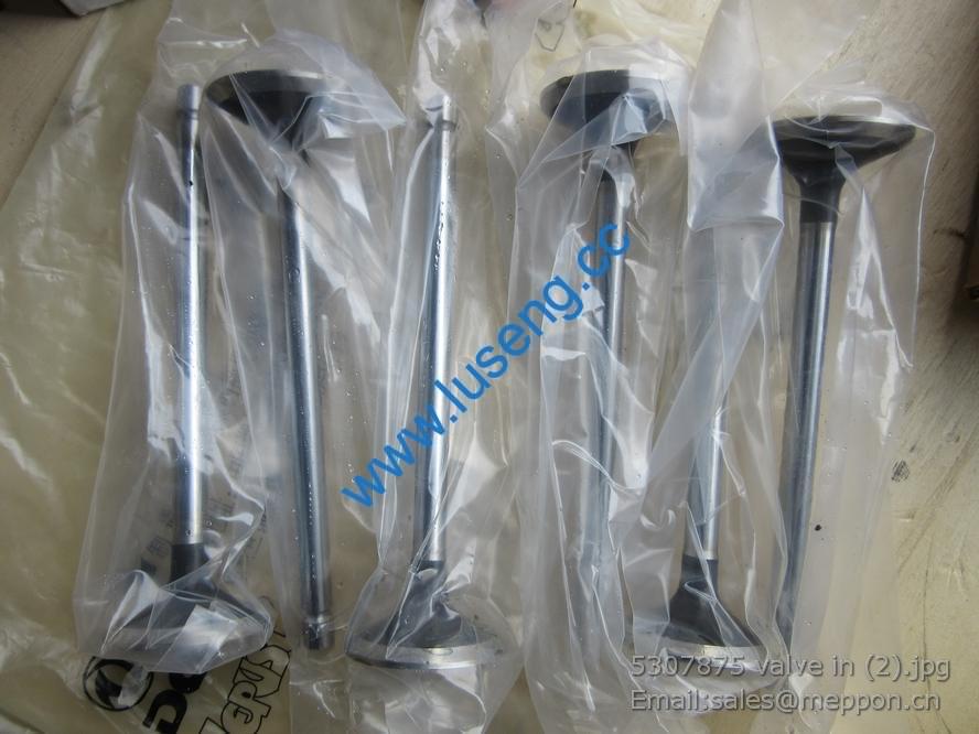 5307875 valve in 3970727