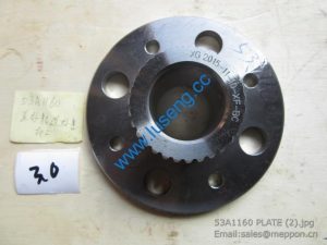 53A1160 PLATE LIUGONG