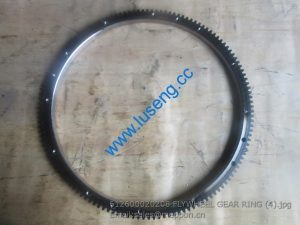 612600020208 FLYWHEEL GEAR RING SP101876 W010513130 4110000556043