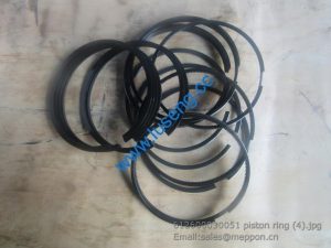 612600030051 piston ring 4110000556066 W010505251 SP114255