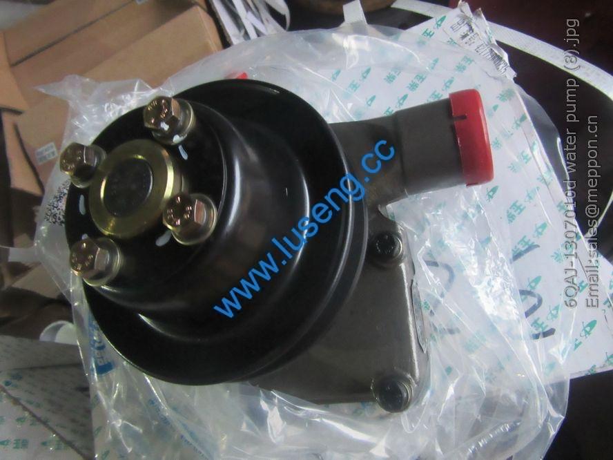 6QAJ-1307010d water pump 4110001060035 SP101838 SP116507