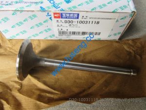D30-1003111B INTAKE VALVE 4110000560145 800150904