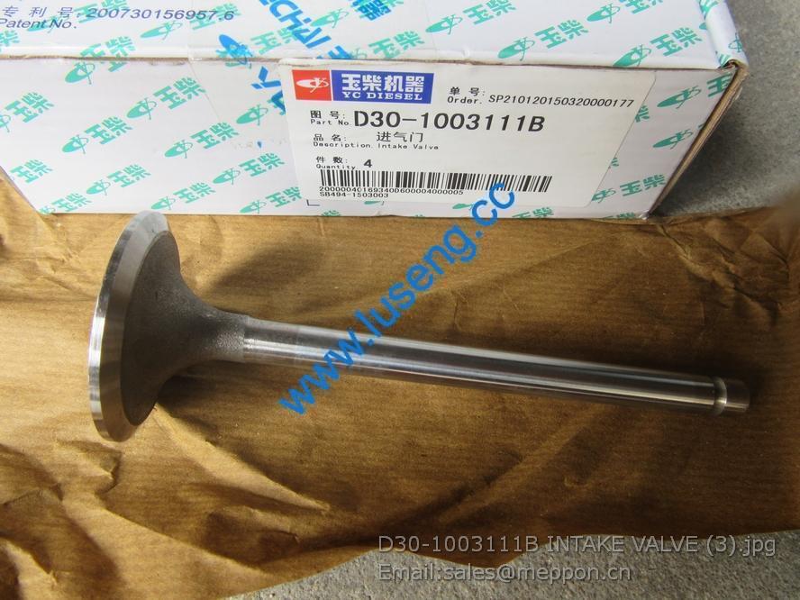 D30-1003111B INTAKE VALVE 4110000560145 800150904