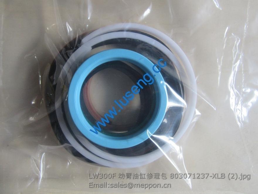 LW300F lift cylinder kits 803071237-XLB
