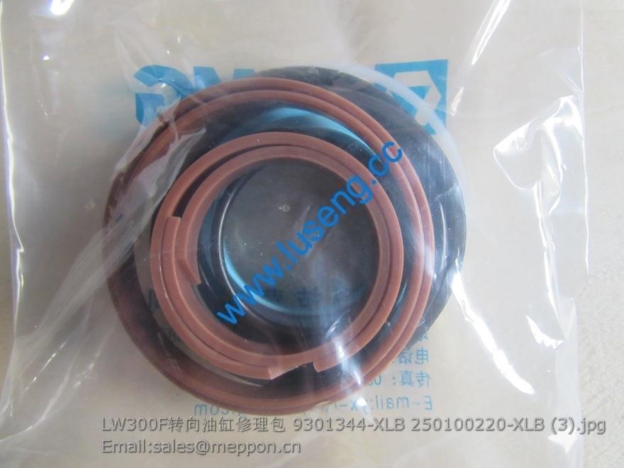LW300F steering cylinder kits 9301344-XLB 250100220-XLB