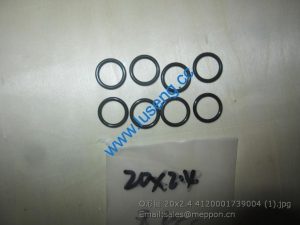 4120001739004 O-RING SDLG 20x2.4