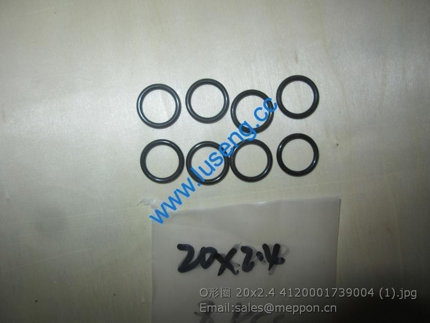 4120001739004 O-RING SDLG 20x2.4